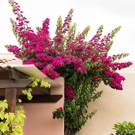 Villa Archanes Appartamento